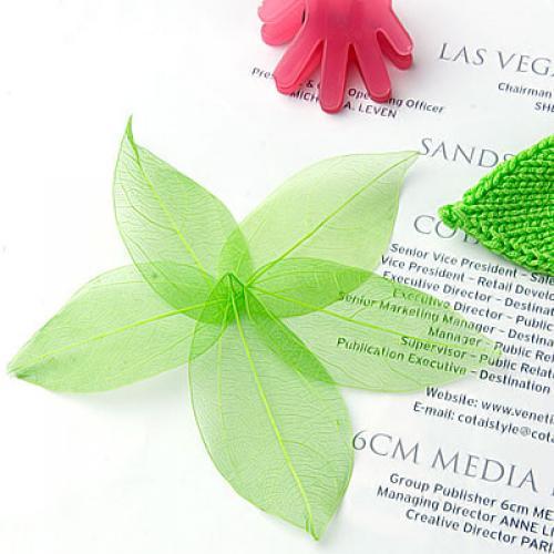 Embellishments For Scrapbooking - Natural Catbrier Skeleton Leaves Multi Purpose