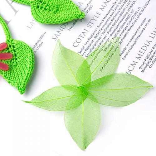 Natural Catbrier Skeleton Leav - Embellishments For Scrapbooking review and price