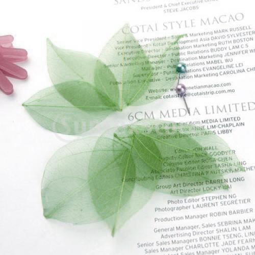 Natural Catbrier Skeleton Leav - Embellishments For Scrapbooking review and price